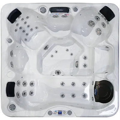 Avalon EC-849L hot tubs for sale in Kokomo