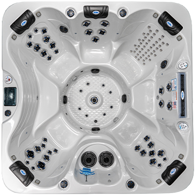 Laguna PL-793B hot tubs for sale in Kokomo
